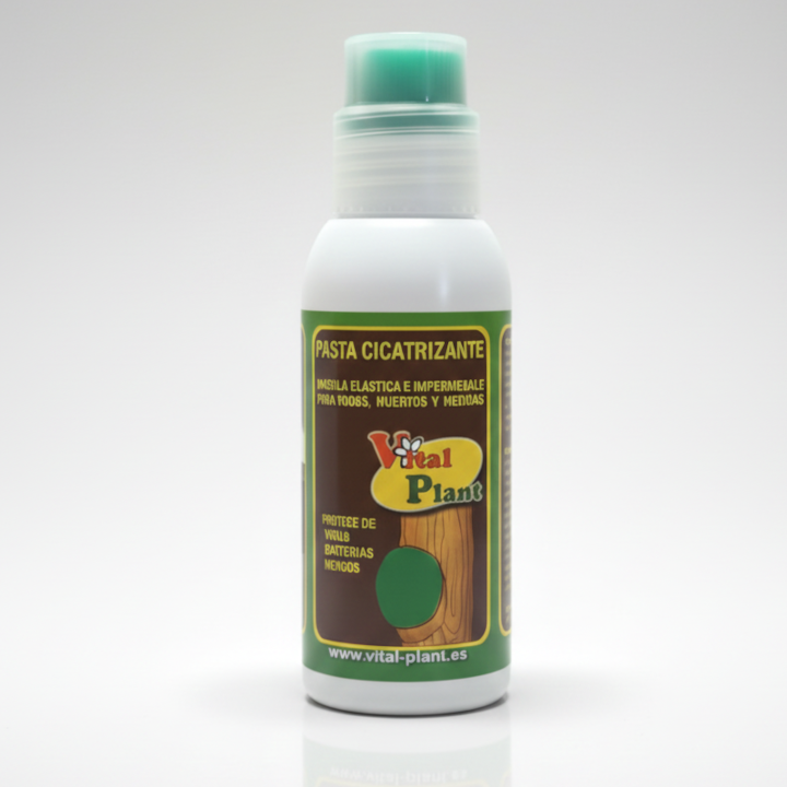 PASTA CICATRIZANTE  250 GR