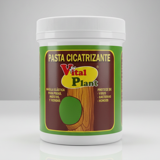 [VARVIT003] PASTA CICATRIZANTE  1 KG
