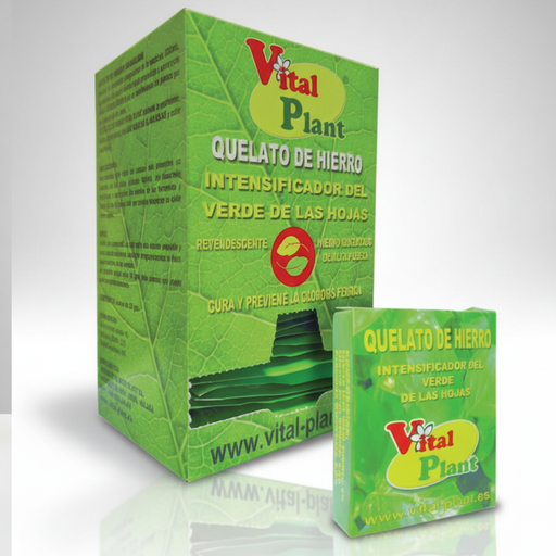[FERVIT025] QUELATO DE HIERRO 25 GR